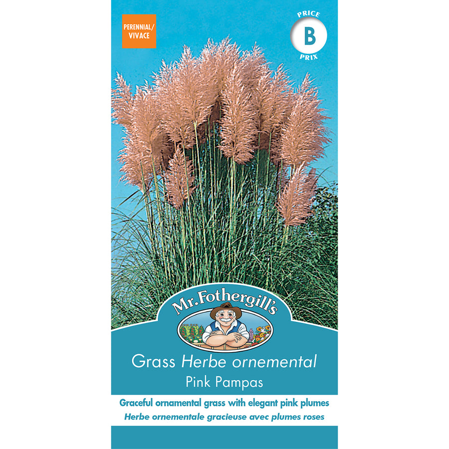SEMENCES DE FLEURS: HERBE ORNEMENTAL - PINK PAMPASS