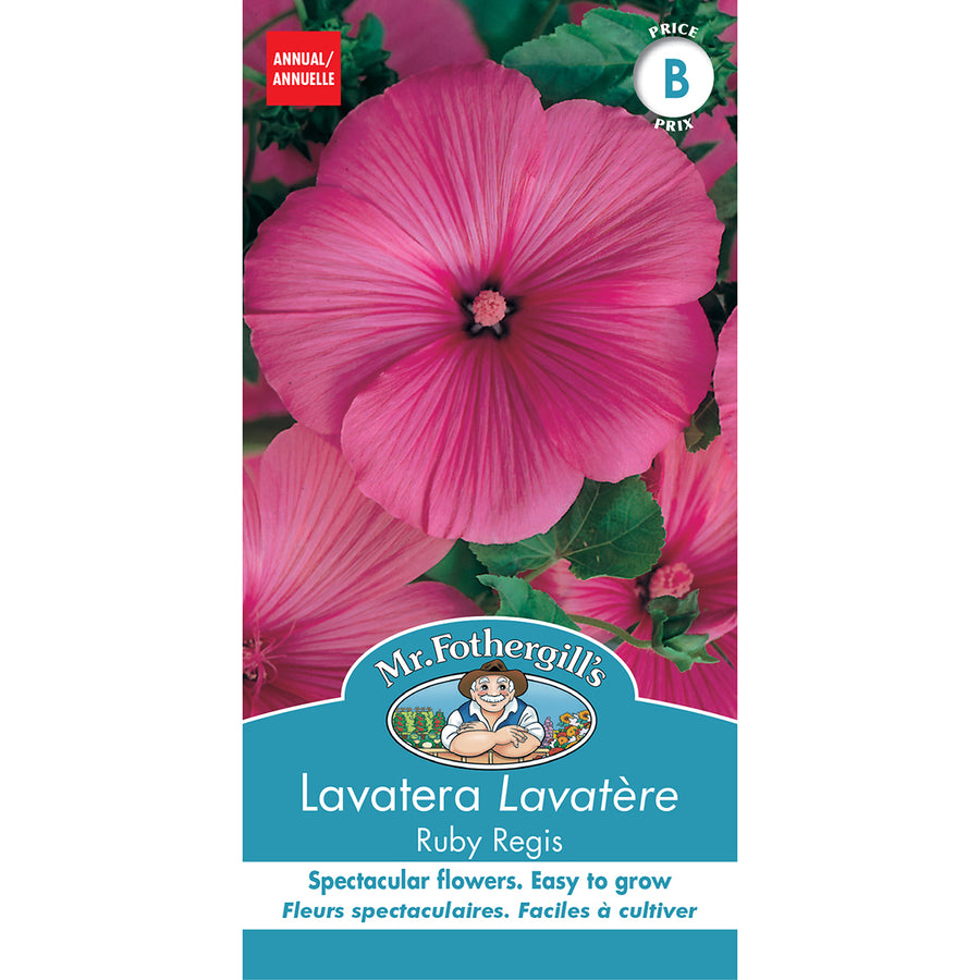 SEMENCES DE FLEURS: LAVATÈRE - RUBY REGIS