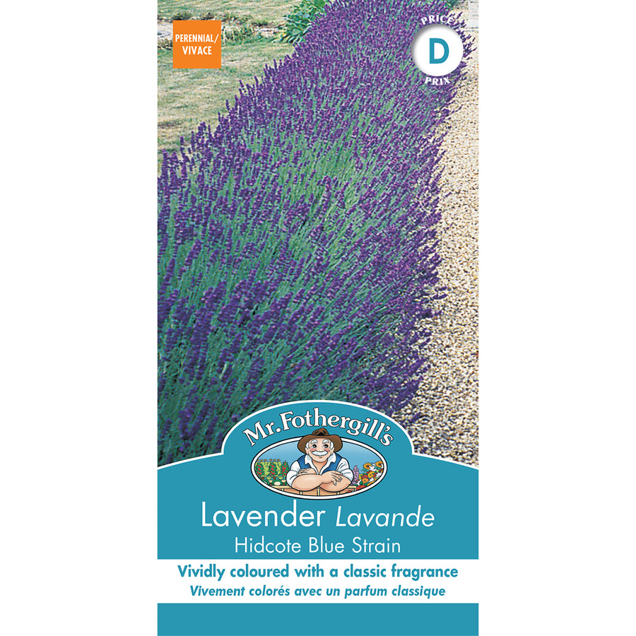 FLOWER SEEDS: LAVENDER - HIDCOTE BLUE STRAIN