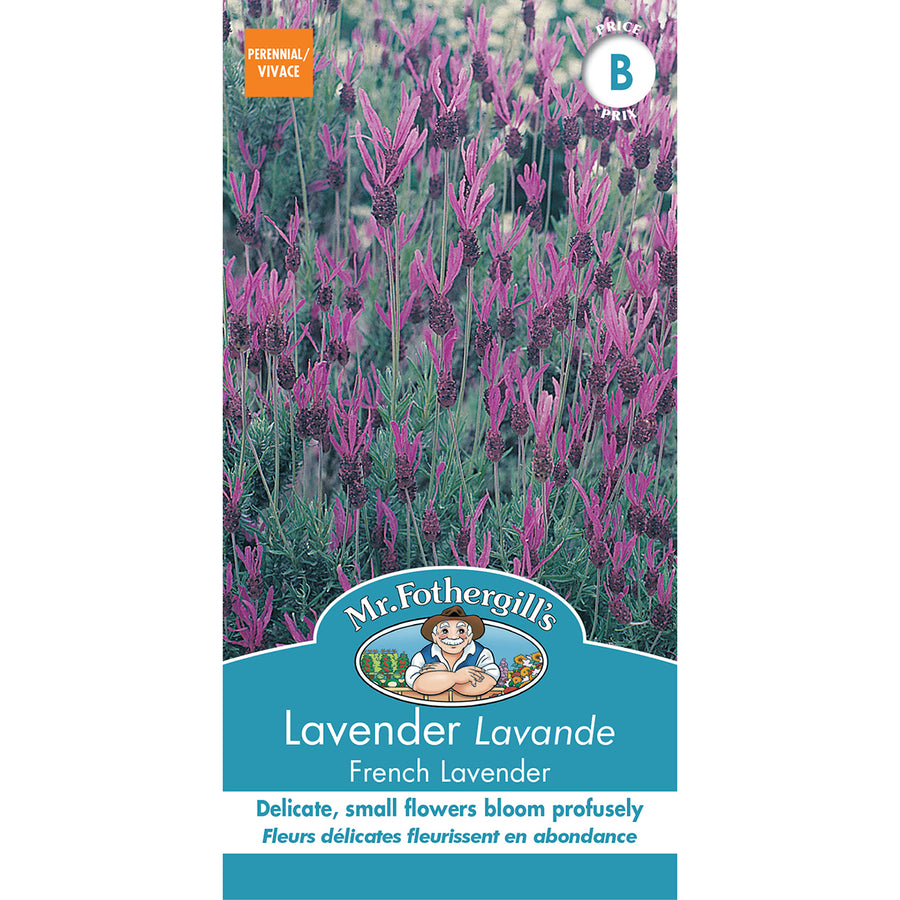 SEMENCES DE FLEURS: LAVANDE - FRENCH LAVENDER