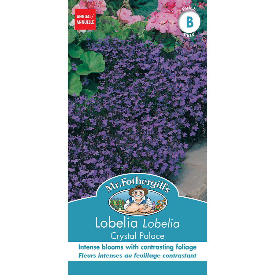 SEMENCES DE FLEURS: LOBELLIA - CRYSTAL PALACE