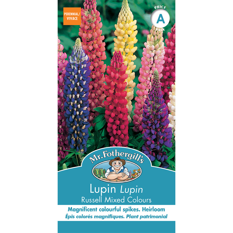 SEMENCES DE FLEURS: LUPIN - RUSSELL MÉLANGE