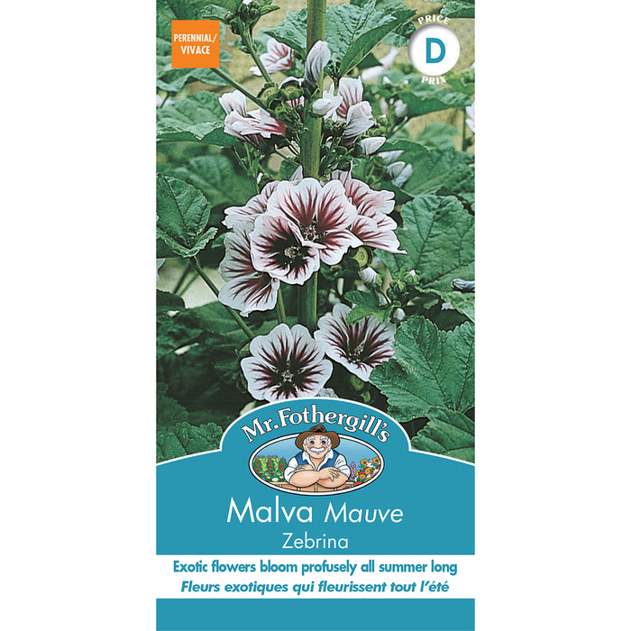 SEMENCES DE FLEURS: MALVA - ZEBRINA