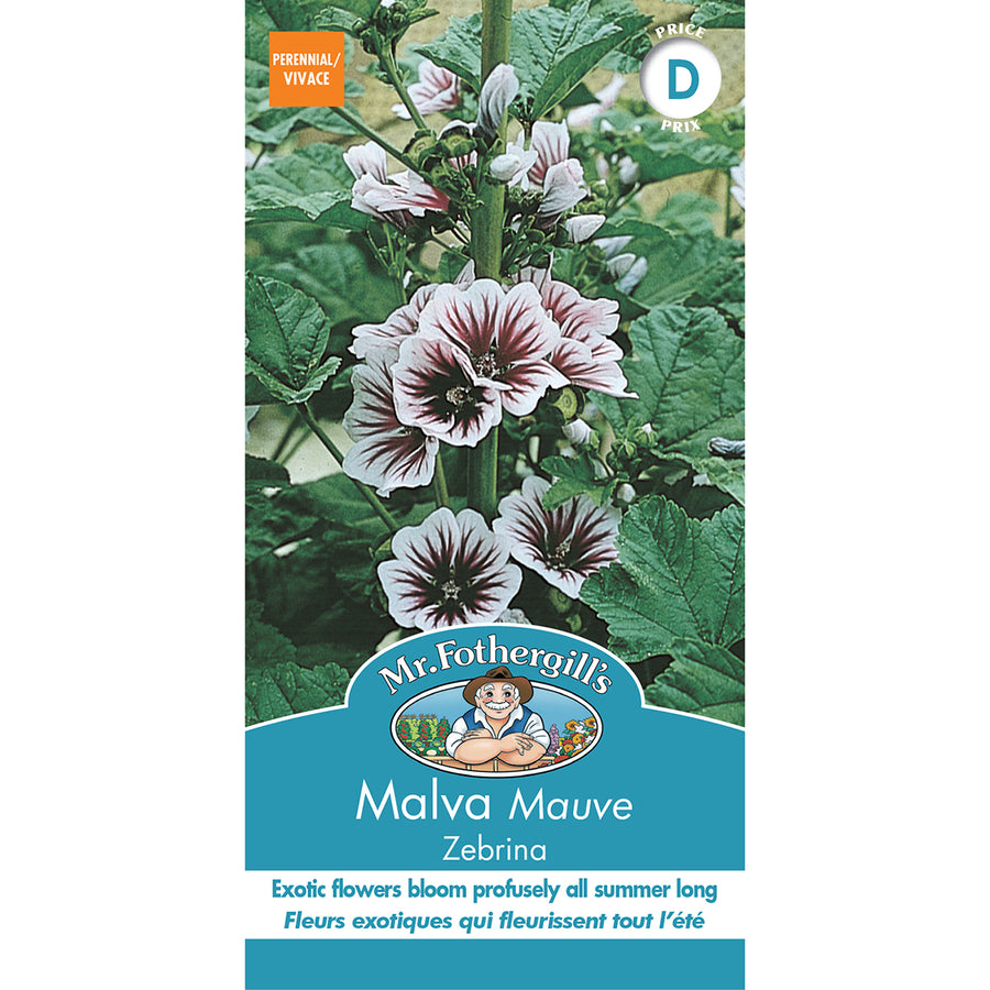 SEMENCES DE FLEURS: MALVA - ZEBRINA