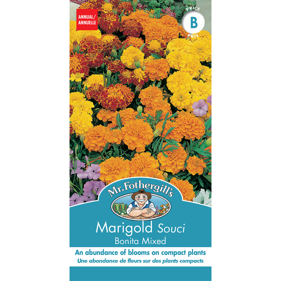 SEMENCES DE FLEURS: SOUCI - BONITA MIXED