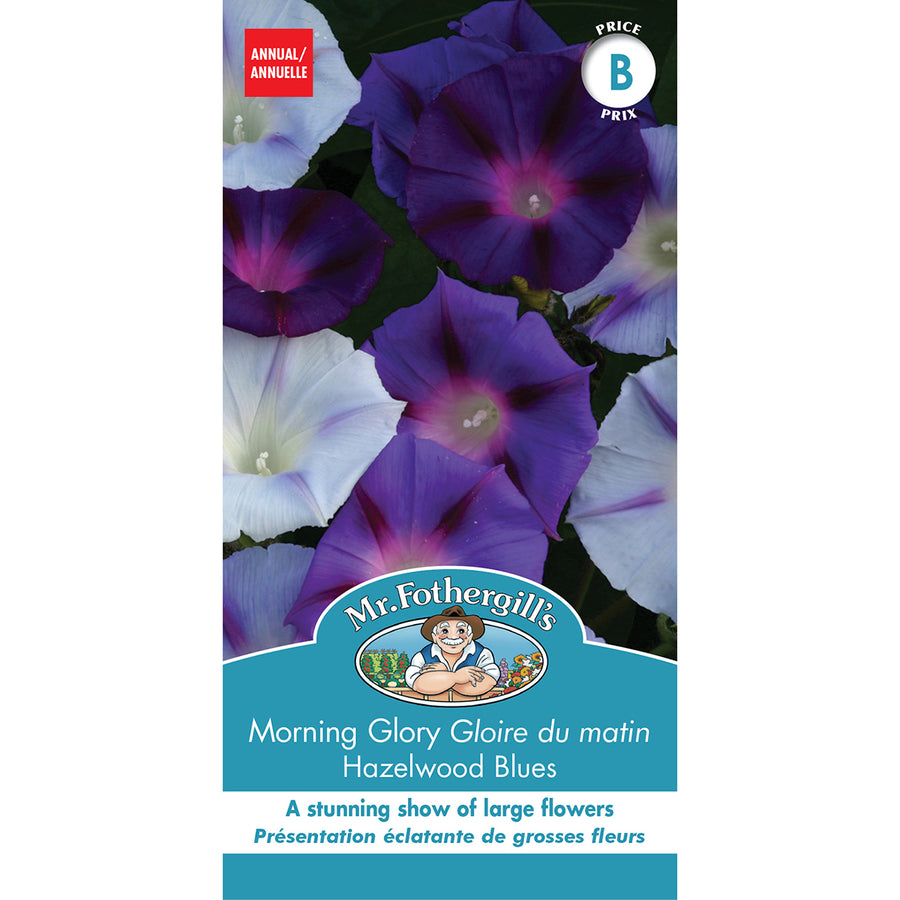SEMENCES DE FLEURS: GLOIRE DU MATIN - HAZELWOOD BLUES