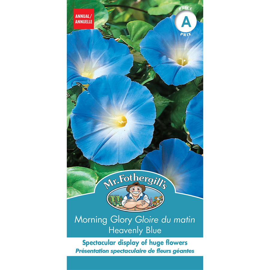 SEMENCES DE FLEURS: GLOIRE DU MATIN - HEAVENLY BLUE