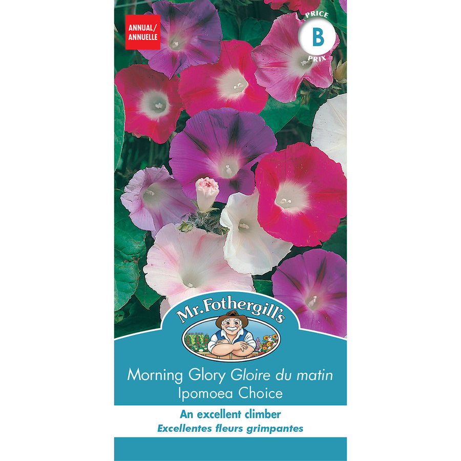 SEMENCES DE FLEURS: GLOIRE DU MATIN - IPOMOEA CHOICE