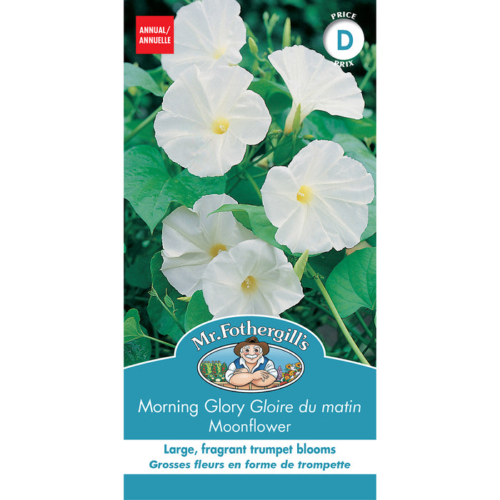 SEMENCES DE FLEURS: GLOIRE DU MATIN - MOONFLOWER
