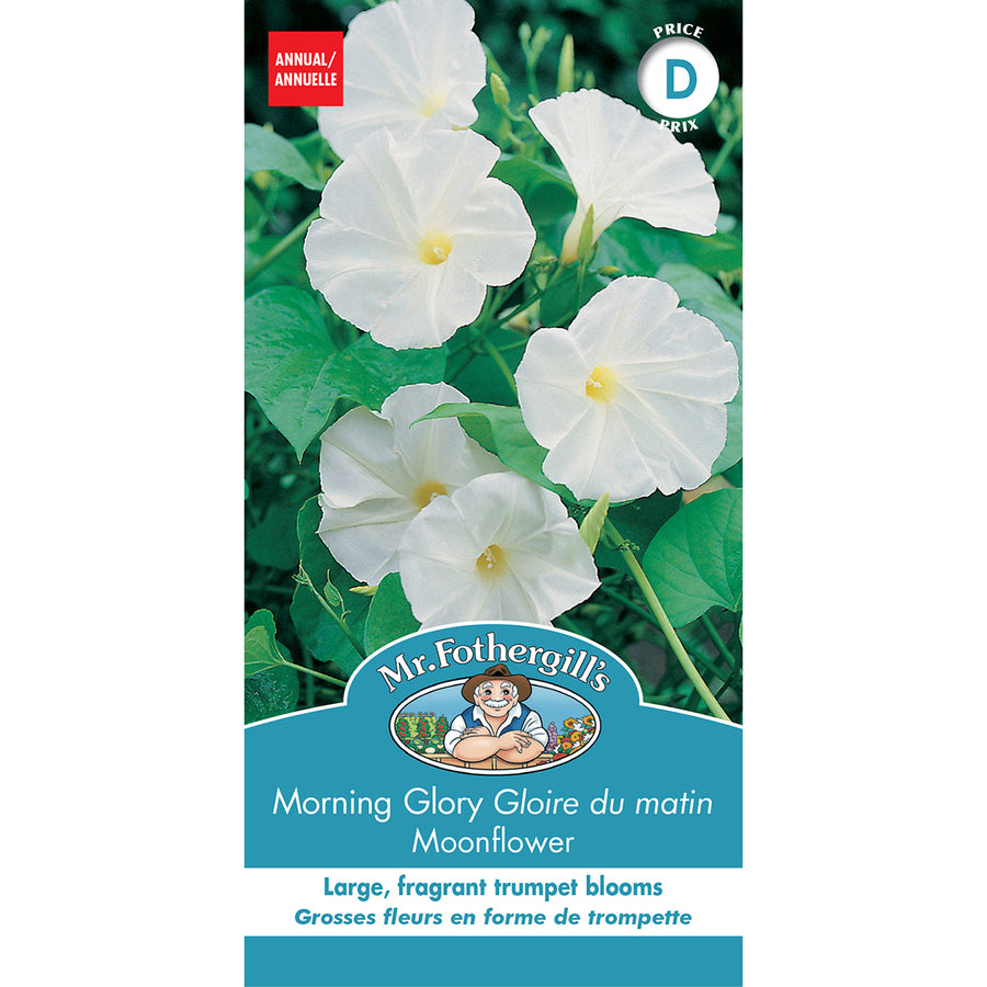 SEMENCES DE FLEURS: GLOIRE DU MATIN - MOONFLOWER