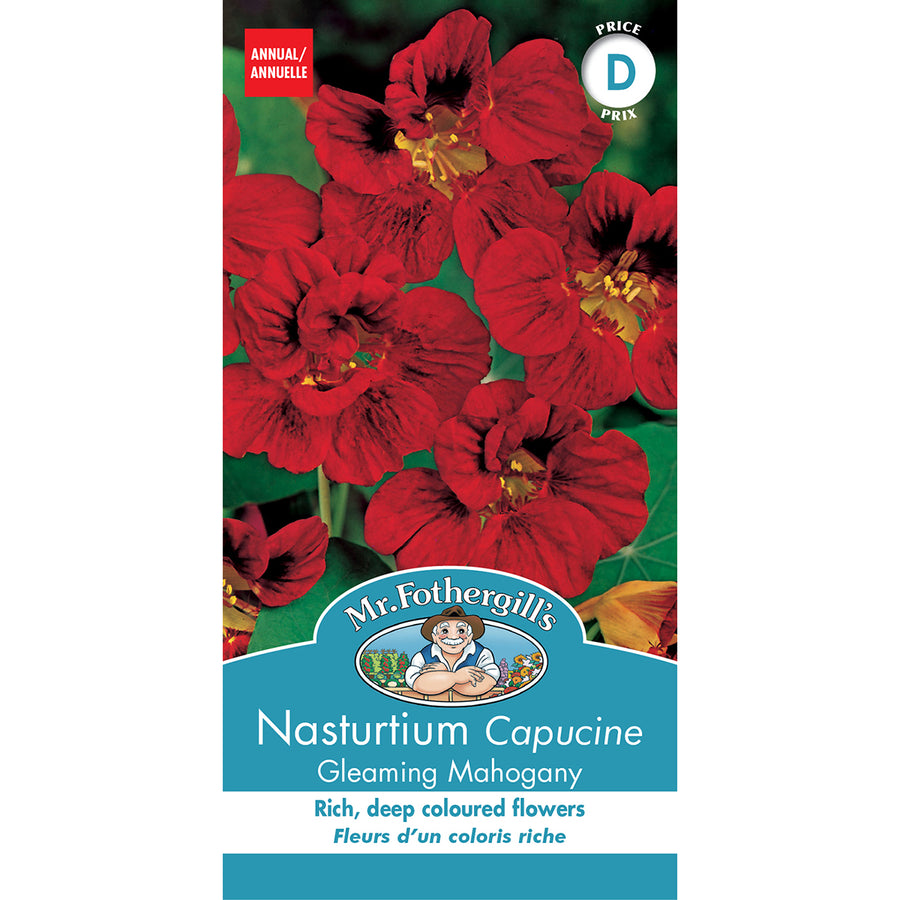 SEMENCES DE FLEURS: CAPUCINE - GLEAMING  MAHOGANY
