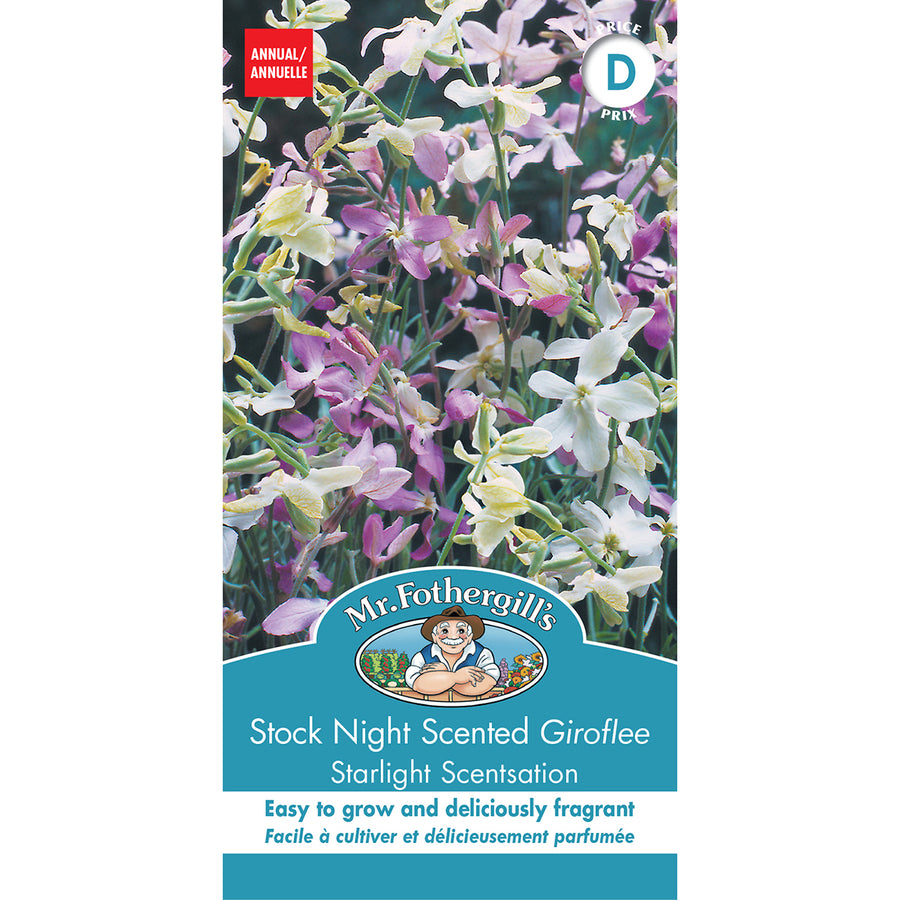 SEMENCES DE FLEURS: GIROFLÉE - STARLIGHT SENSATION