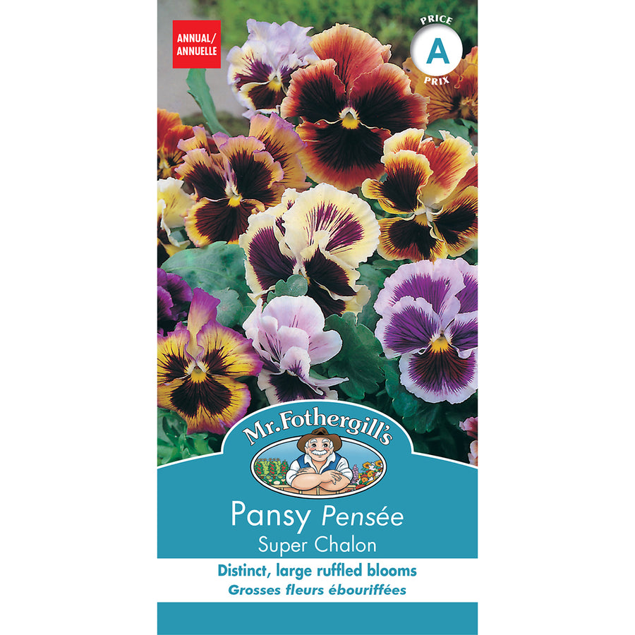 SEMENCES DE FLEURS: PENSÉE - SUPER CHALON