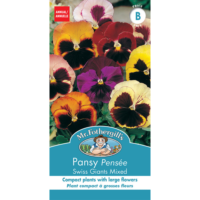 SEMENCES DE FLEURS: PENSÉE - SWISS GIANTS MIXED