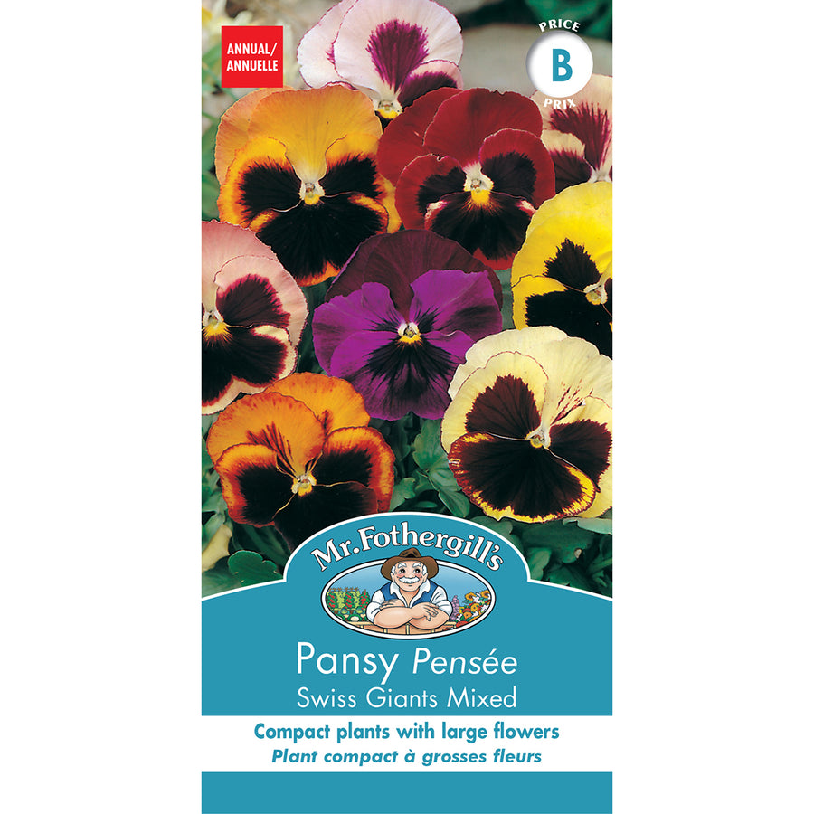 SEMENCES DE FLEURS: PENSÉE - SWISS GIANTS MIXED