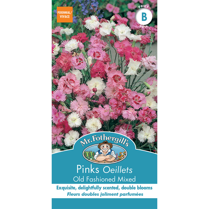 SEMENCES DE FLEURS: OEILLETS - OLD FASHIONED MIXED