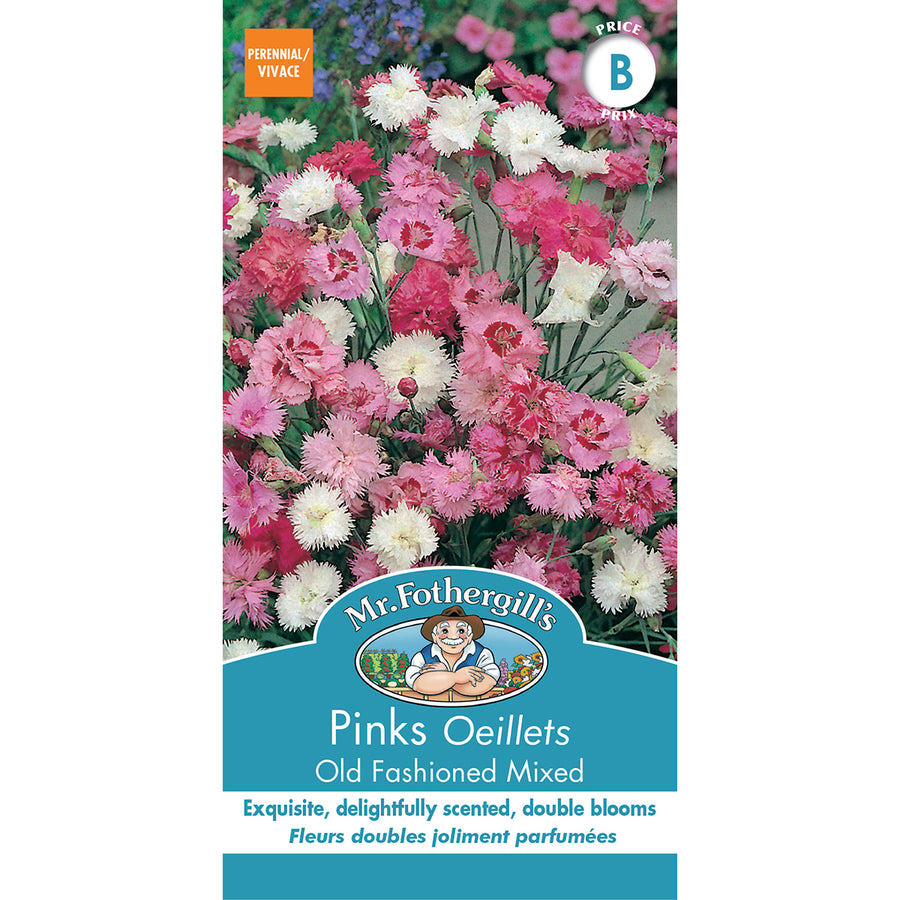 SEMENCES DE FLEURS: OEILLETS - OLD FASHIONED MIXED
