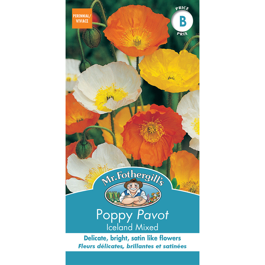 SEMENCES DE FLEURS: PAVOT - ICELAND MIXED