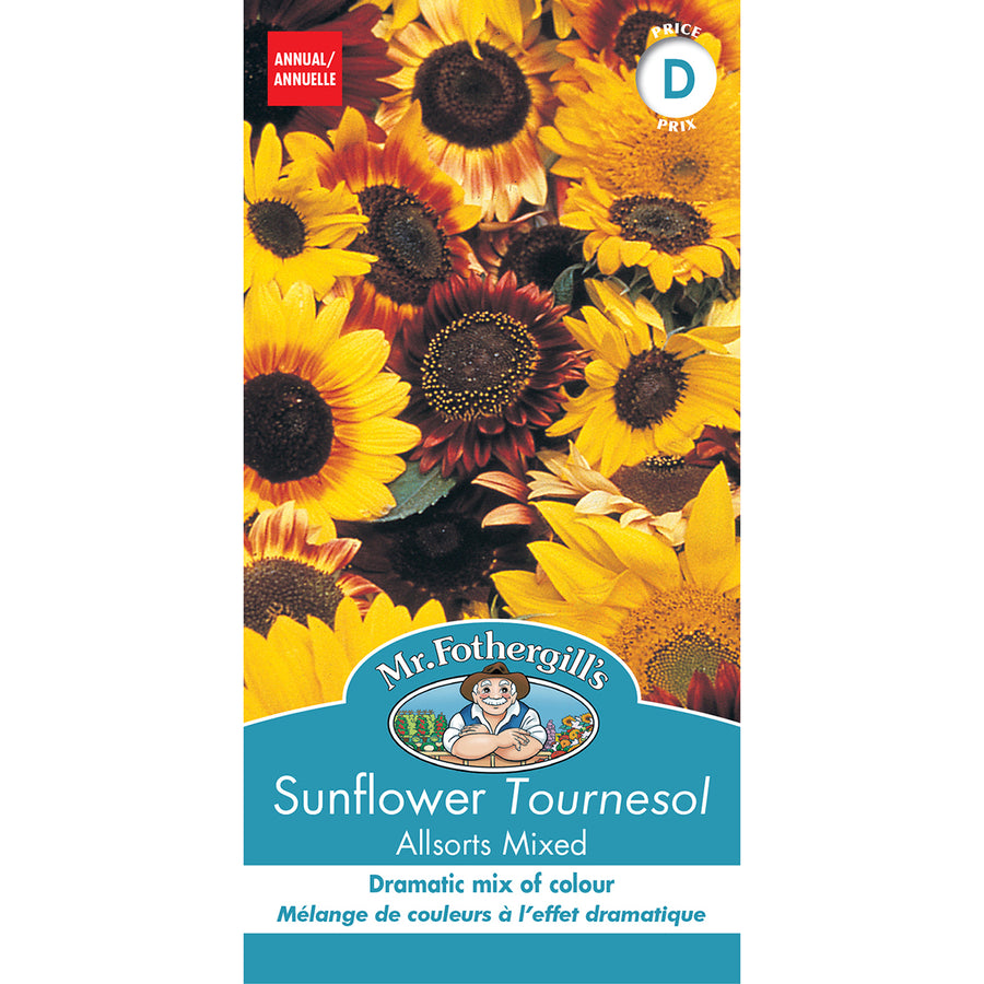 SEMENCES DE FLEURS: TOURNESOL - ALLSORTS MIXED