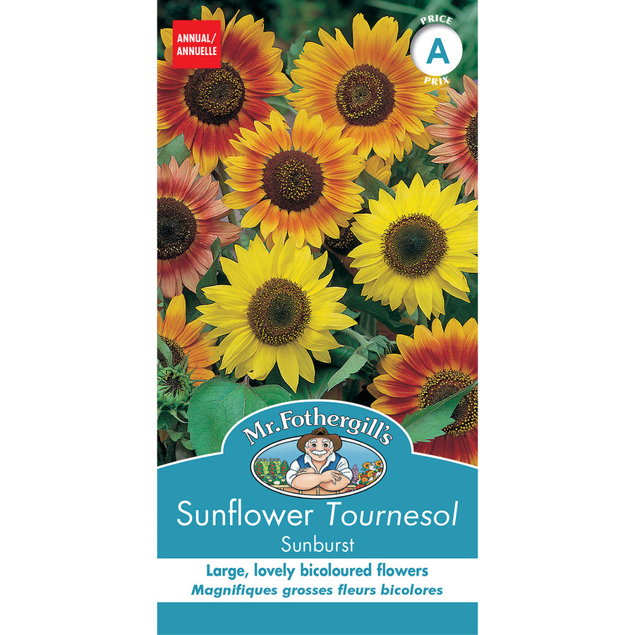 SEMENCES DE FLEURS: TOURNESOL - SUNBURST