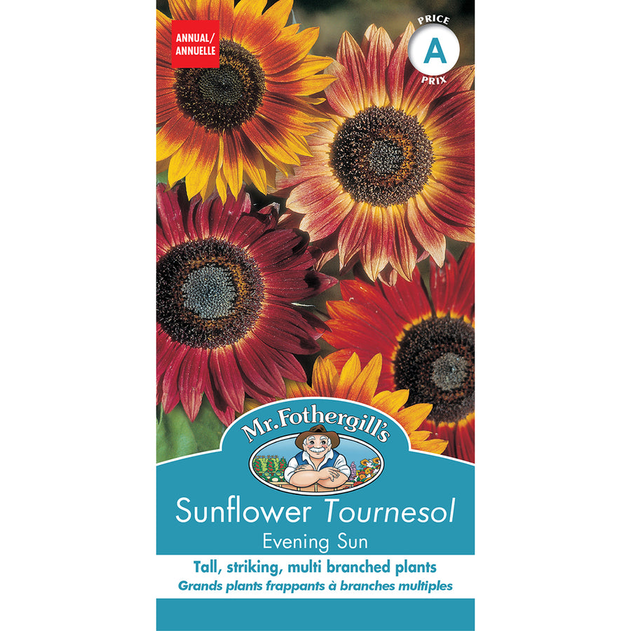 SEMENCES DE FLEURS: TOURNESOL - EVENING SUN