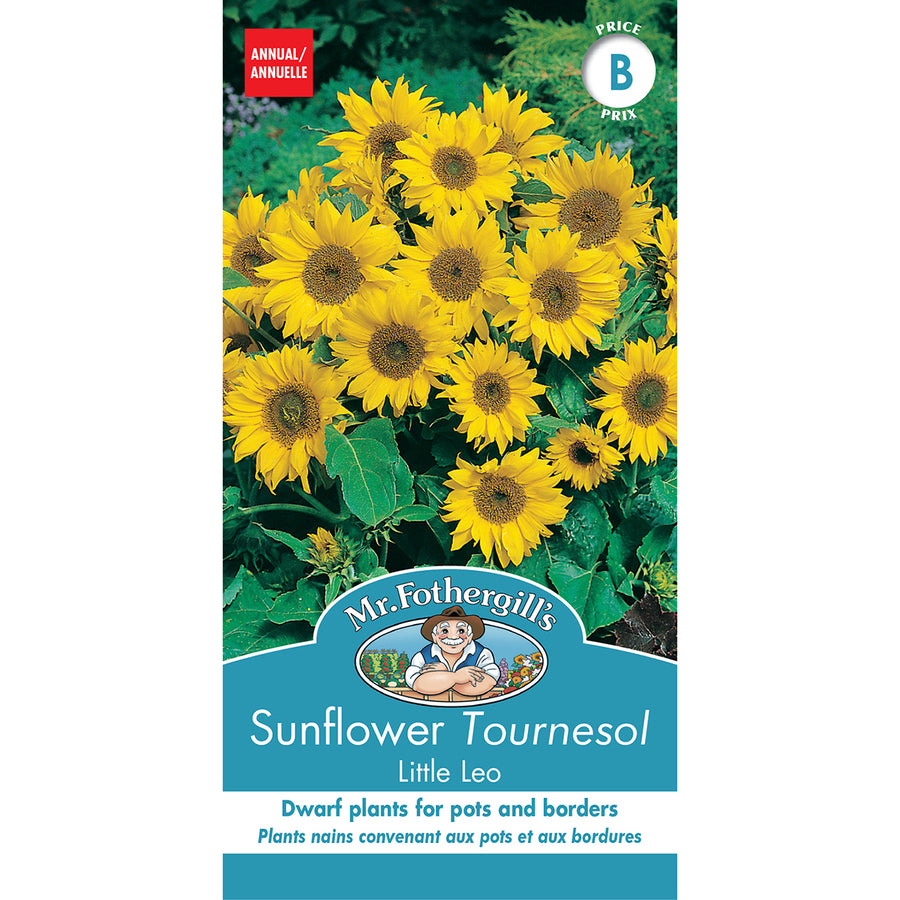 SEMENCES DE FLEURS: TOURNESOL - LITTLE LEO