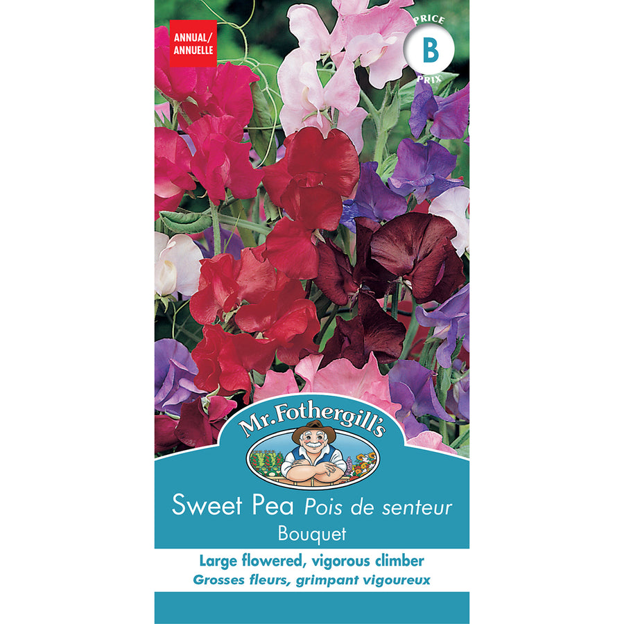 SEMENCES DE FLEURS: POIS DE SENTEUR - BOUQUET