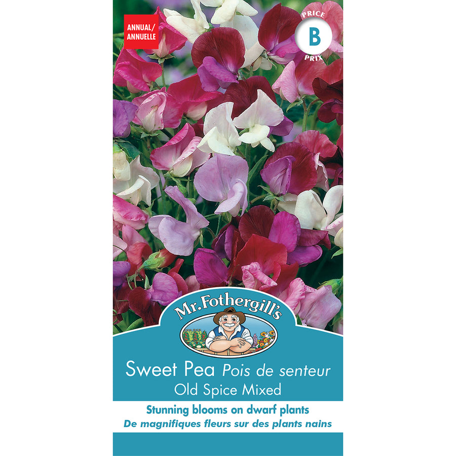 SEMENCES DE FLEURS: POIS DE SENTEURS - OLD SPICE MIXED