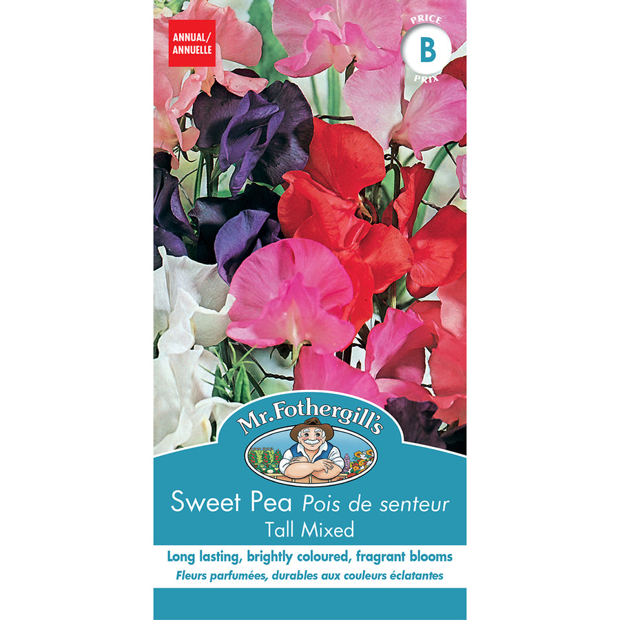 SEMENCES DE FLEURS: POIS DE SENTEUR - TALL MIXED