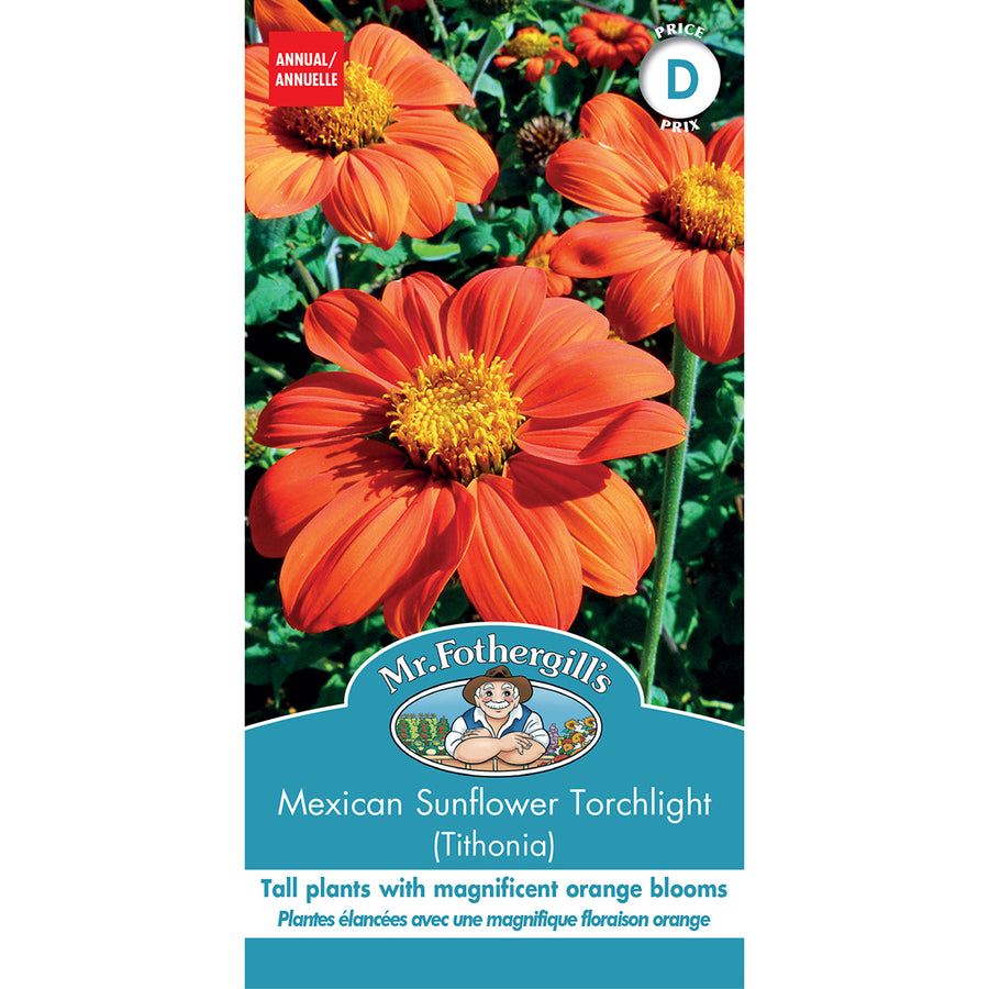 SEMENCES DE FLEURS: MEXICAN SUNFLOWER TORCHLIGHT