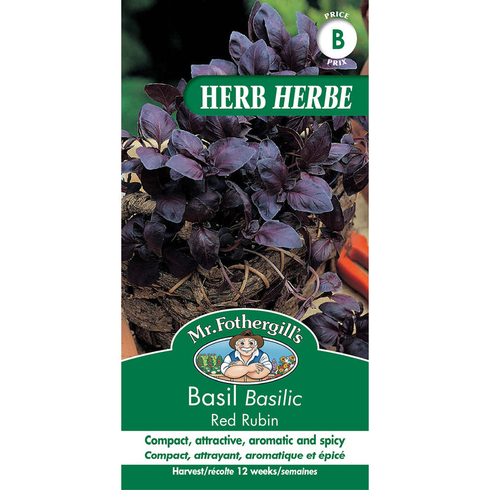 SEMENCES DE FINES HERBES: BASILIC - RED RUBIN