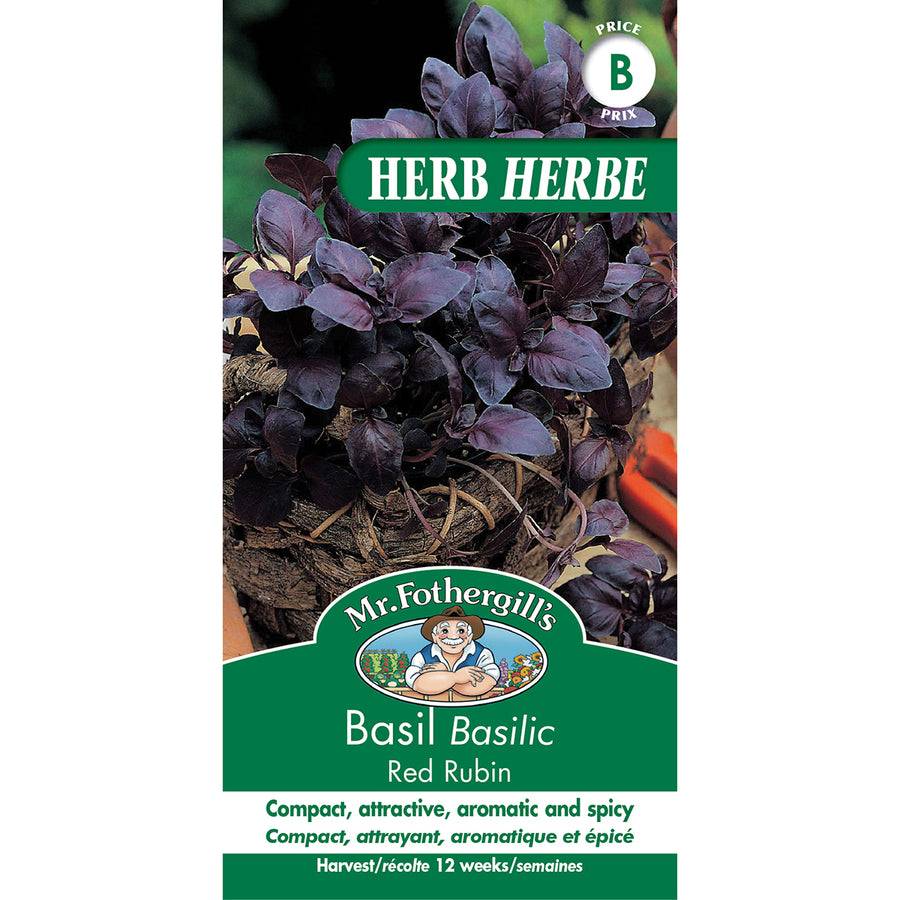 SEMENCES DE FINES HERBES: BASILIC - RED RUBIN