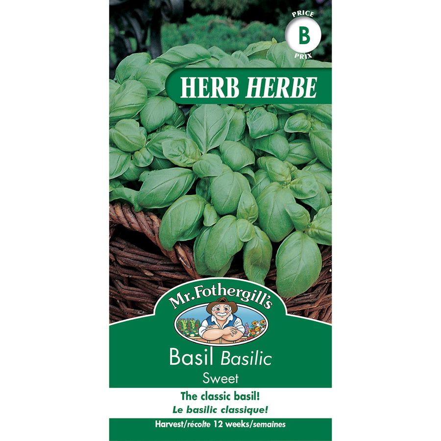 SEMENCES DE FINES HERBES: BASILIC - SWEET