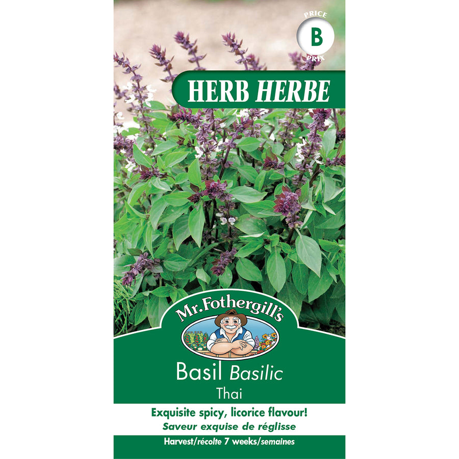 SEMENCES DE FINES HERBES: BASILIC  - THAI