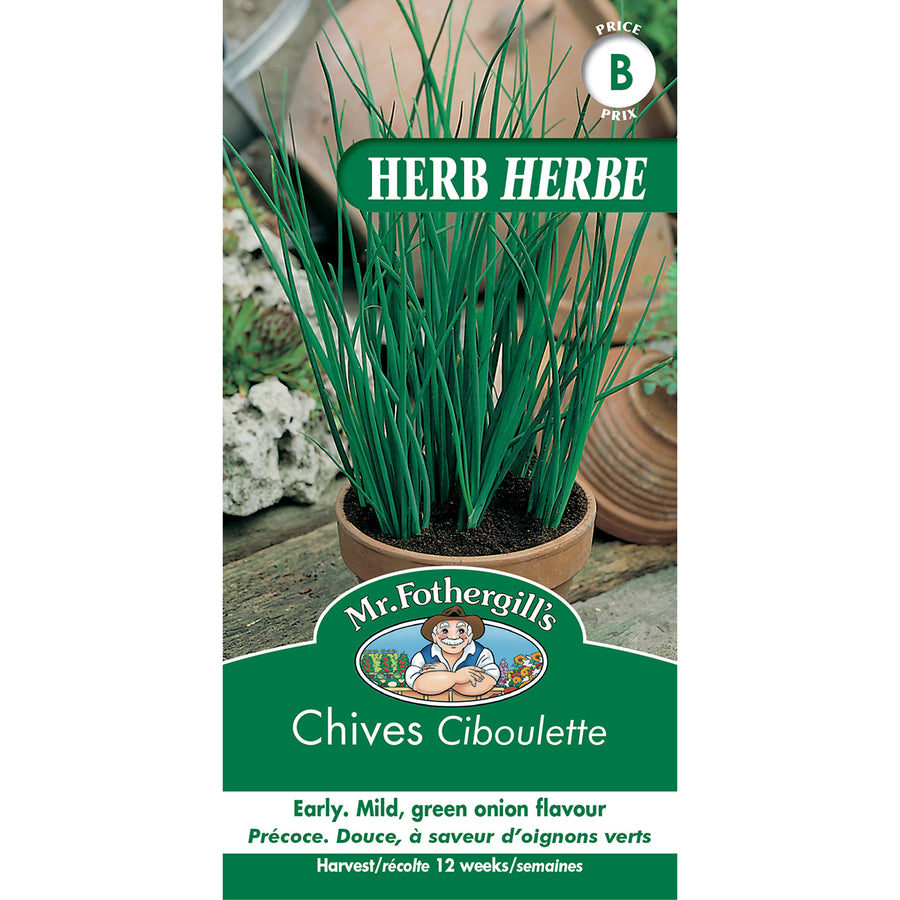 SEMENCES DE FINES HERBES: CIBOULETTE