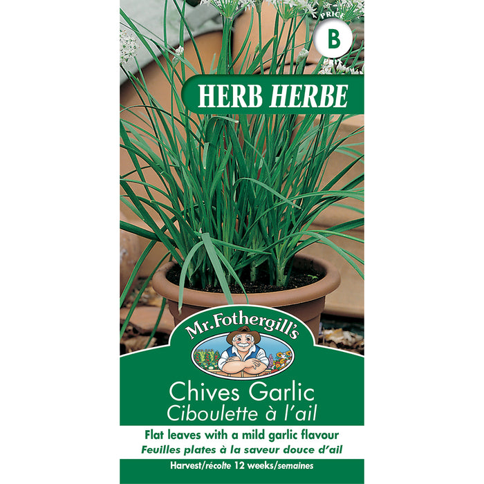 SEMENCES DE FINES HERBES: CIBOULETTE À L`AIL