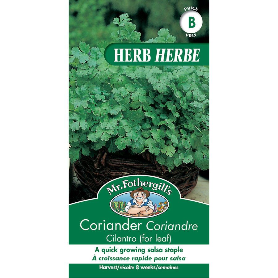 SEMENCES DE FINES HERBES: CORIANDRE - CILANTRO