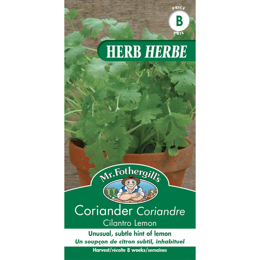 HERB SEEDS: CORIANDER - CILANTRO LEMON