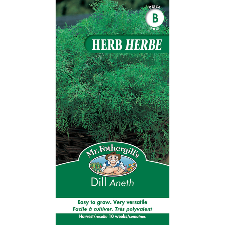SEMENCES DE FINES HERBES: ANETH