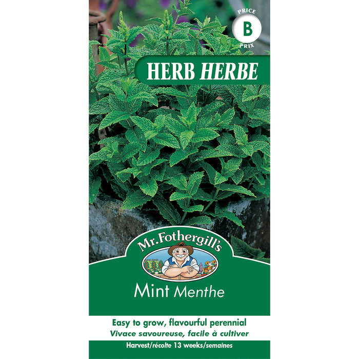 SEMENCES DE FINES HERBES: MENTHE