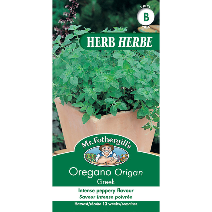 SEMENCES DE FINES HERBES: ORIGAN