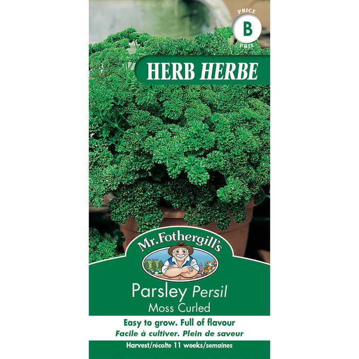 SEMENCES DE FINES HERBES: PERSIL - MOSS CURLED