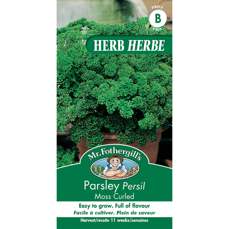 SEMENCES DE FINES HERBES: PERSIL - MOSS CURLED