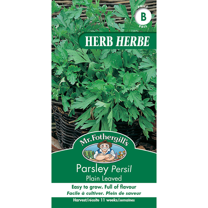 SEMENCES DE FINES HERBES: PERSIL - PLAIN LEAVED