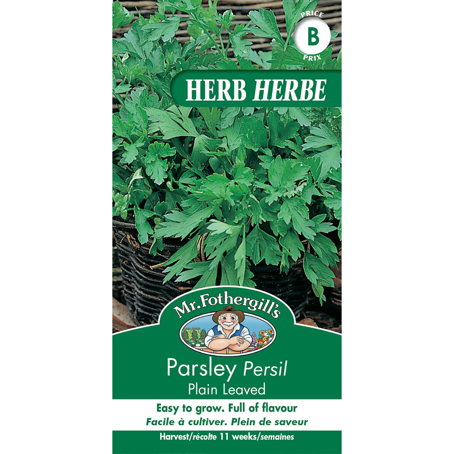 SEMENCES DE FINES HERBES: PERSIL - PLAIN LEAVED