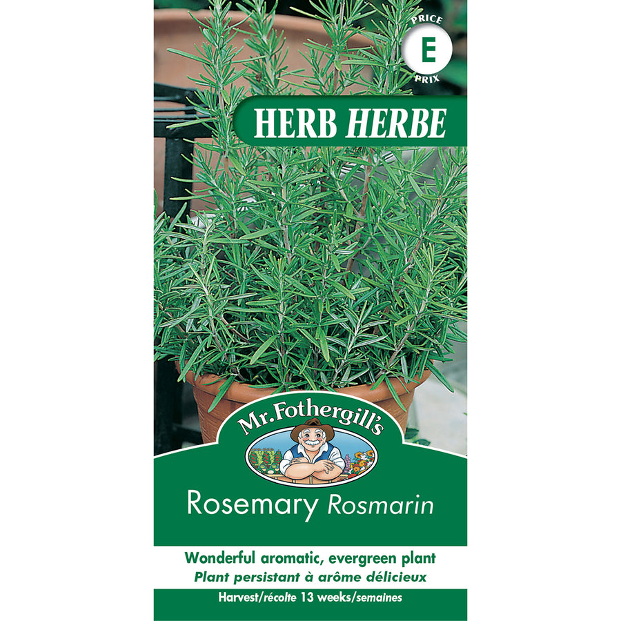 SEMENCES DE FINES HERBES: SAUGE