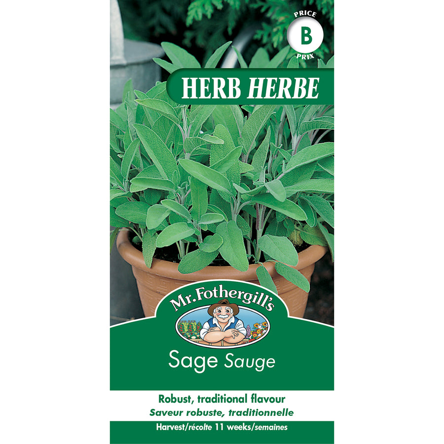 SEMENCES DE FINES HERBES: SAUGE