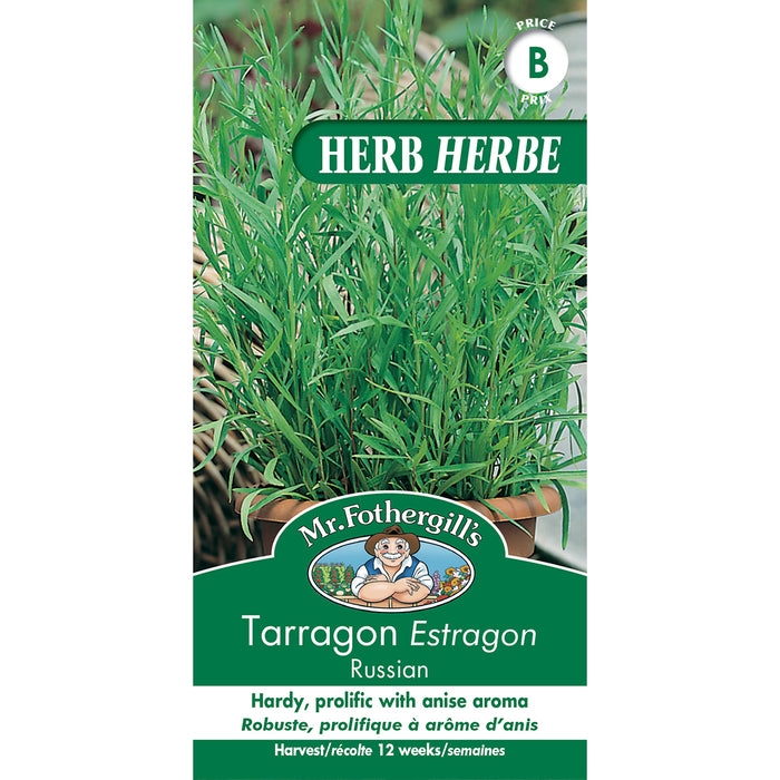 SEMENCES DE FINES HERBES: ESTRAGON - RUSSIAN