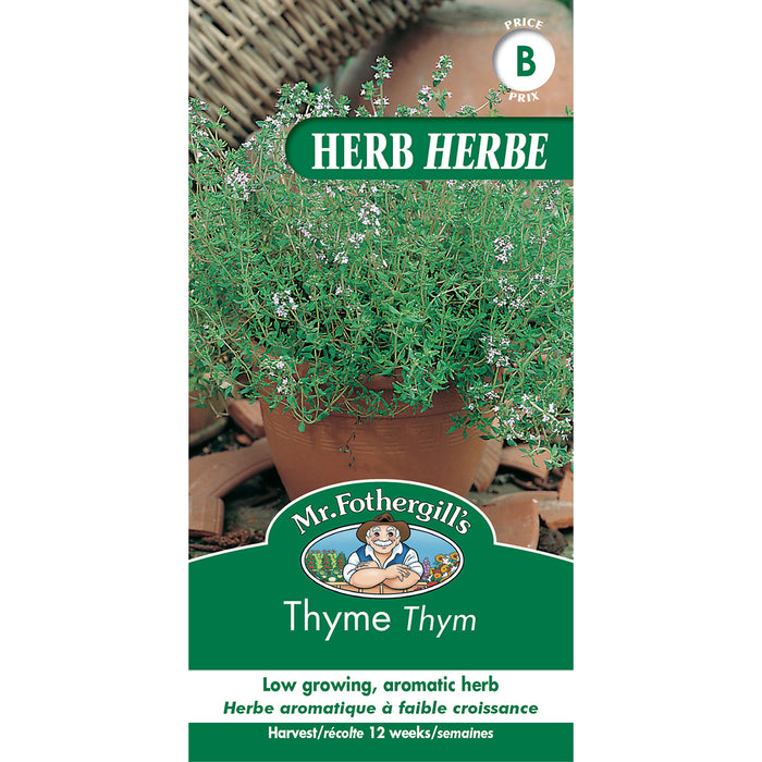 SEMENCES DE FINES HERBES: THYM