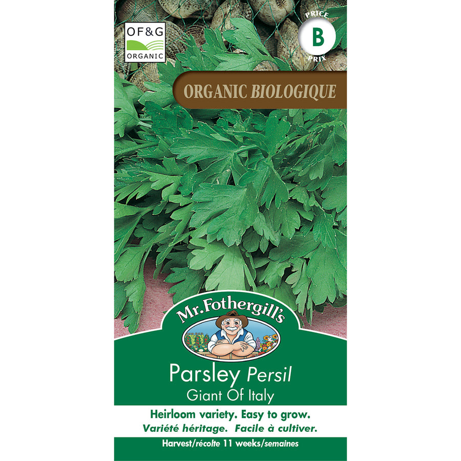 ORGANIC HERB SEEDS: PARSLEY - GIANT OF ITALY